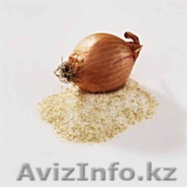 Линии для сушки овощей, фруктов, ягод, грибов, лука, HANS BINDER комплектные «по - Изображение #1, Объявление #88190