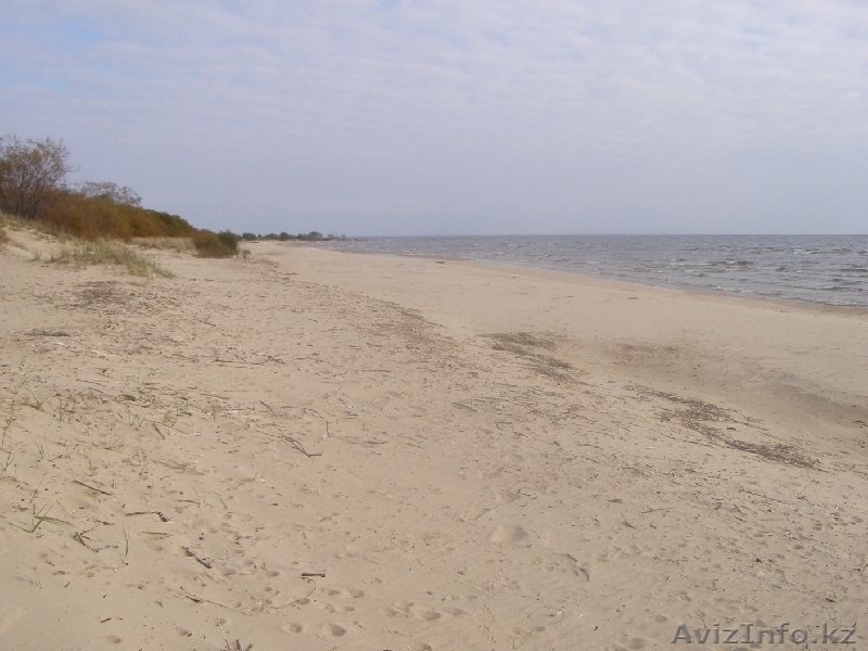Здание на побережье в Эстонии, дёшево - Изображение #1, Объявление #107079