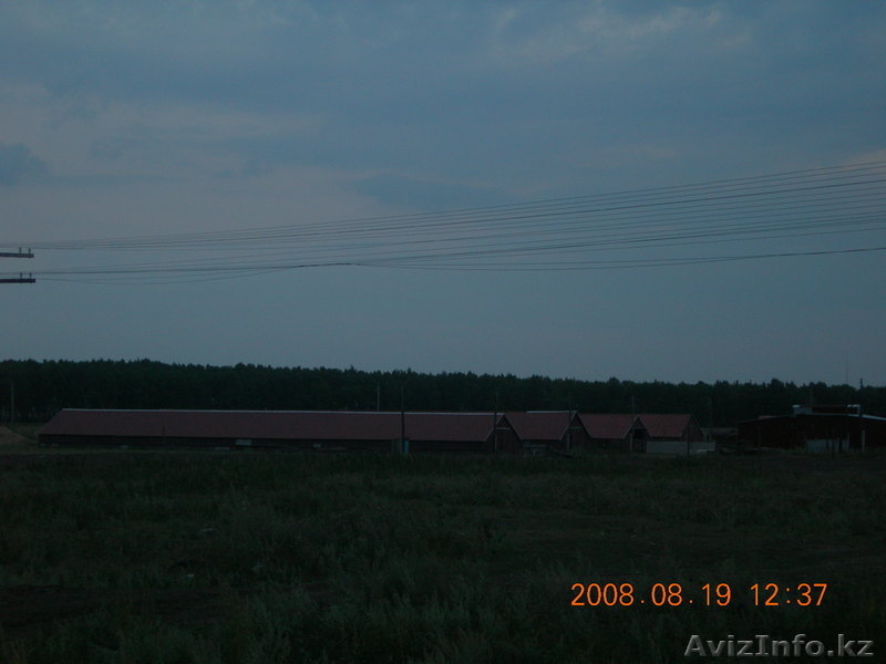 кирпичный завод $300000 - Изображение #1, Объявление #119561