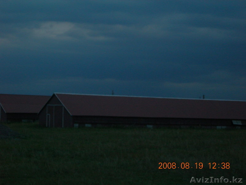 кирпичный завод $300000 - Изображение #2, Объявление #119561