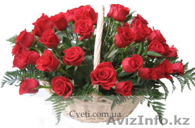 ЦВЕТЫ ПО ДОСТУПНЫМ ЦЕНАМ. - Изображение #5, Объявление #130379