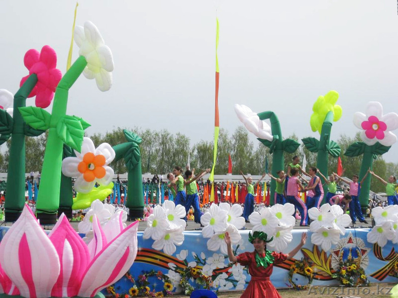 Воздушный креатив - Изображение #8, Объявление #145537