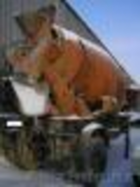 распродажа техники - Изображение #3, Объявление #199372