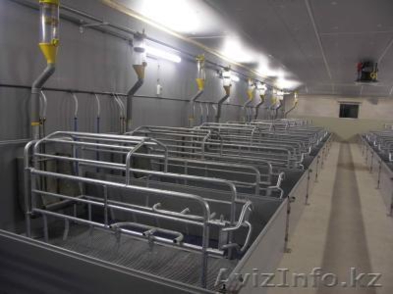 ПОИЛКИ И КОРМУШКИ ПОЛЬША - Изображение #3, Объявление #224911