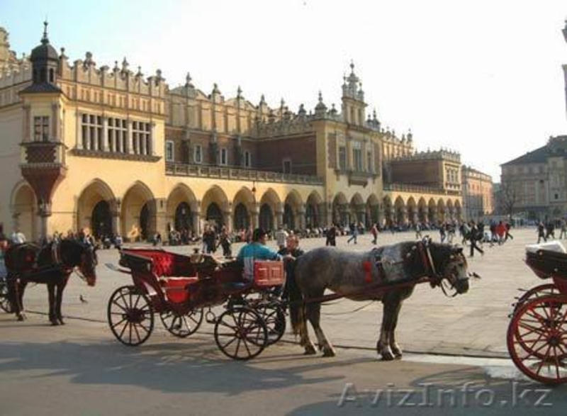 Репетитор польского языка онлайн - Изображение #2, Объявление #248209