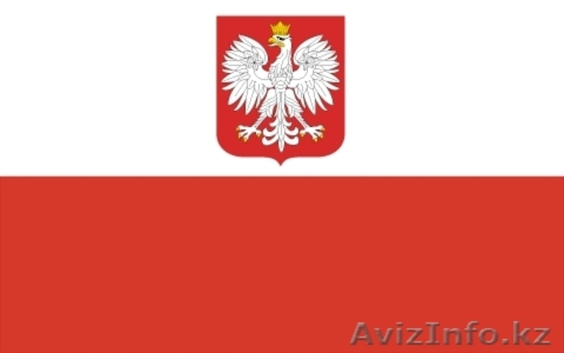 Репетитор польского языка онлайн - Изображение #1, Объявление #248209