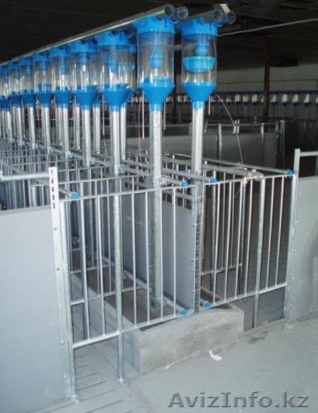 ПОИЛКИ И КОРМУШКИ ПОЛЬША - Изображение #2, Объявление #224911