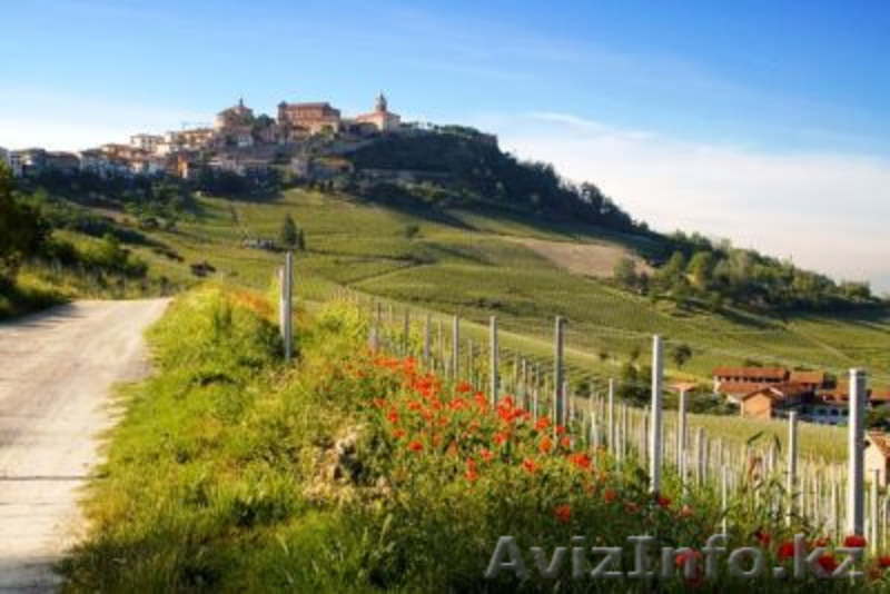 Гид в Турине (Италия - Пьемонт) / Russian guide in Turin (Piedmont - I - Изображение #2, Объявление #277424