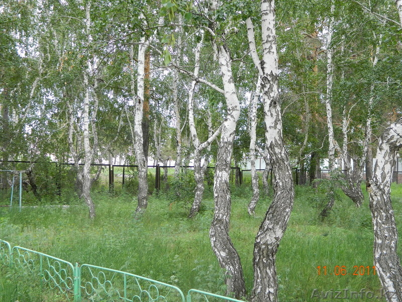 Продам дом в Акколе 100км от Астаны  - Изображение #2, Объявление #278945