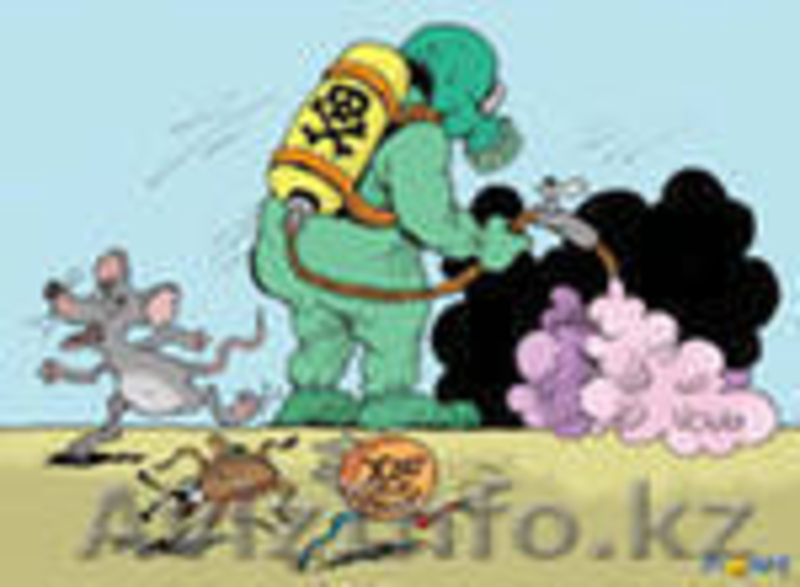 Дератизация!Дезинсекция!Дезинфекция! - Изображение #1, Объявление #280270