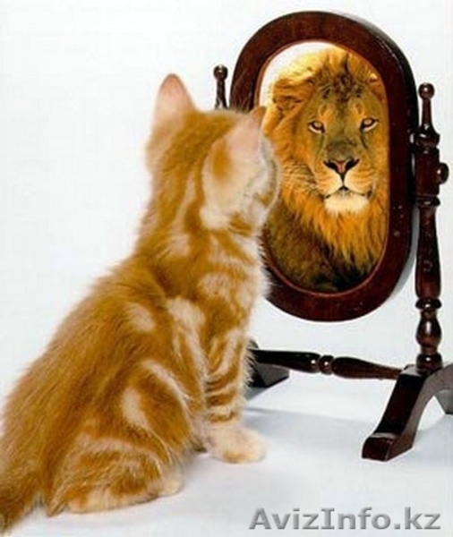 тренинг центр IPG  - Изображение #2, Объявление #337731