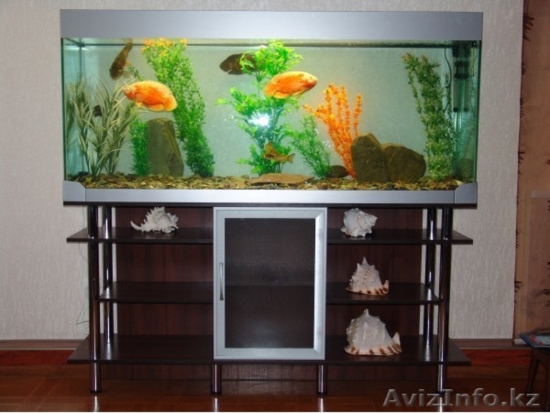 Изготовление аквариумов на заказ - Изображение #8, Объявление #338086