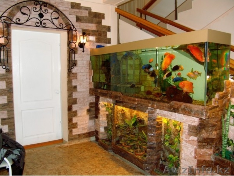 Изготовление аквариумов на заказ - Изображение #10, Объявление #338086