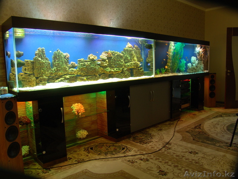 Изготовление аквариумов на заказ - Изображение #3, Объявление #338086