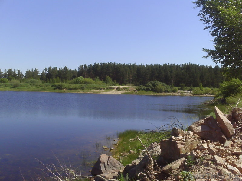 земельный участок в лесу для отдыха - Изображение #1, Объявление #335331