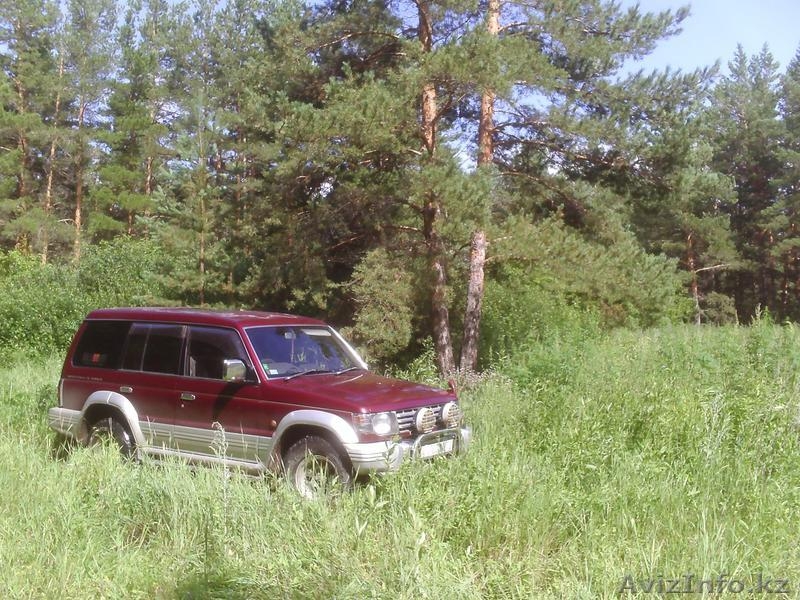 земельный участок в лесу для отдыха - Изображение #6, Объявление #335331