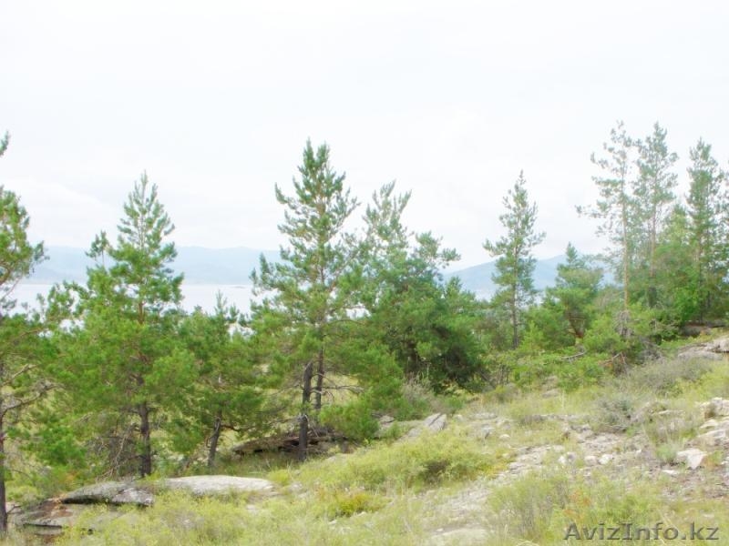 Земельный участок  под зону отдыха - Изображение #2, Объявление #345352