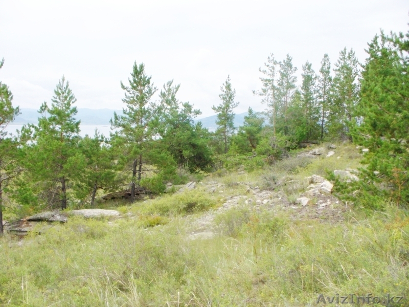 Земельный участок  под зону отдыха - Изображение #1, Объявление #345352