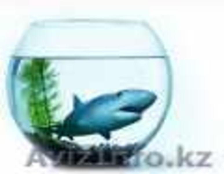 ТОО "Наружная & внутренняя реклама" - Изображение #6, Объявление #412786