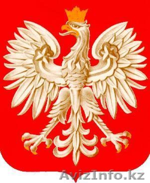 Польский язык онлайн  - Изображение #2, Объявление #402619