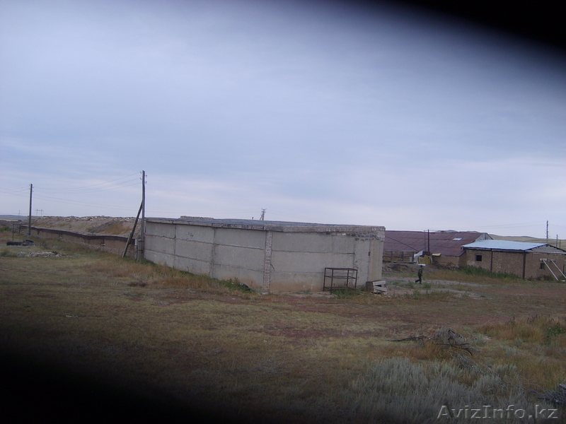 сельское хозяйство                                                               - Изображение #1, Объявление #400676