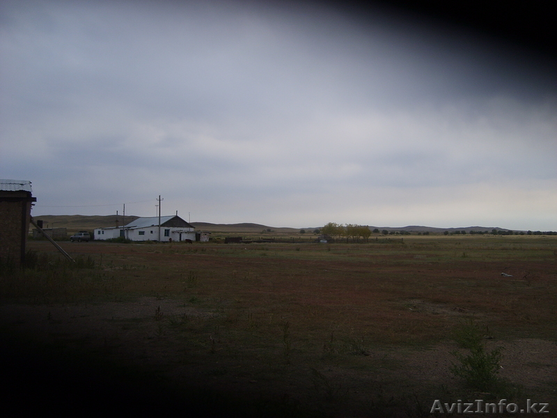 сельское хозяйство                                                               - Изображение #3, Объявление #400676