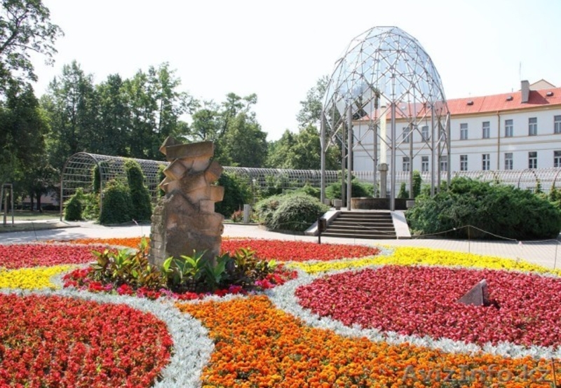 Недвижимость в Чехии, Переезд в Чехию. Регистрация фирм, Иммиграция - Изображение #1, Объявление #121763