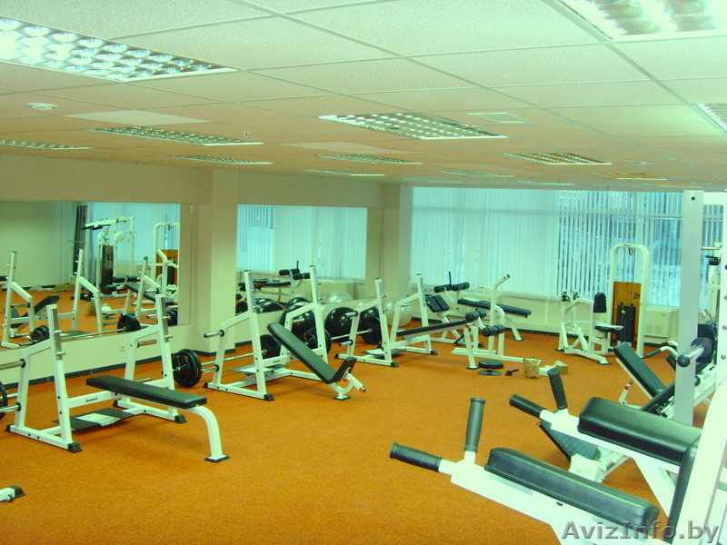 Тренажеры для спортивного зала и дома. - Изображение #1, Объявление #436775