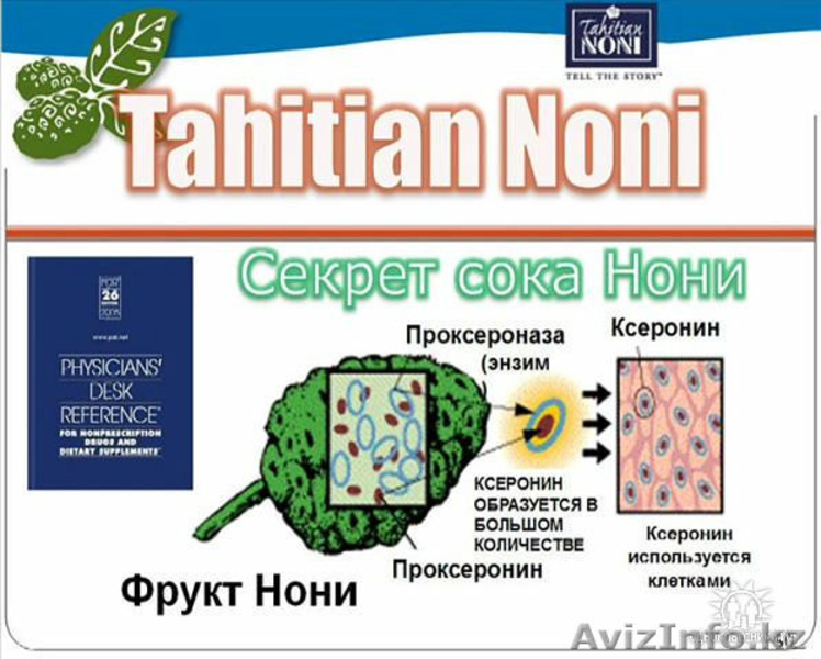 Биоактивный  ,оригинальный таитянский НОНИ - Изображение #4, Объявление #499430
