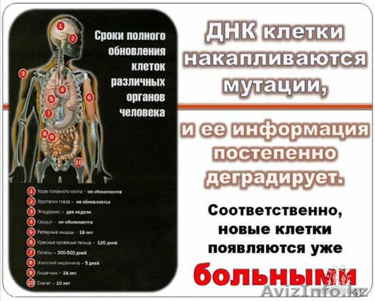 Биоактивный  ,оригинальный таитянский НОНИ - Изображение #3, Объявление #499430