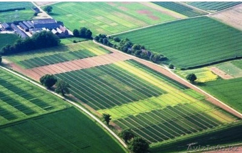 Оценка земельного участка - Изображение #3, Объявление #591075