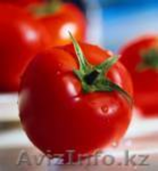 Семена овощей и картофеля - Изображение #8, Объявление #597607