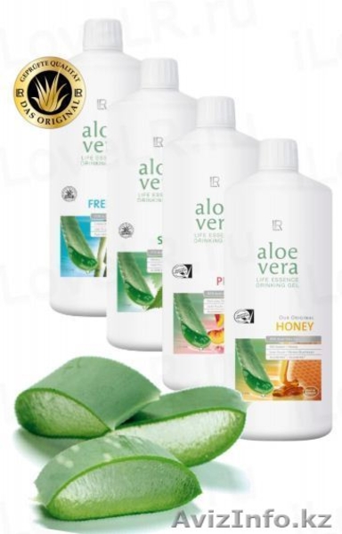 Алое Вера питьвой гель от LR на страже Вашего здоровья - Изображение #1, Объявление #603911