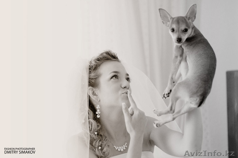 Свадебный фотограф Дмитрий Симаков г. Астана - Изображение #7, Объявление #575118