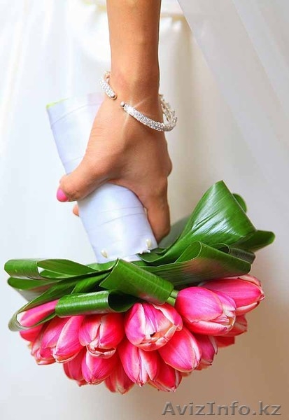 Проффесиональный фотограф Астана - Изображение #1, Объявление #578579