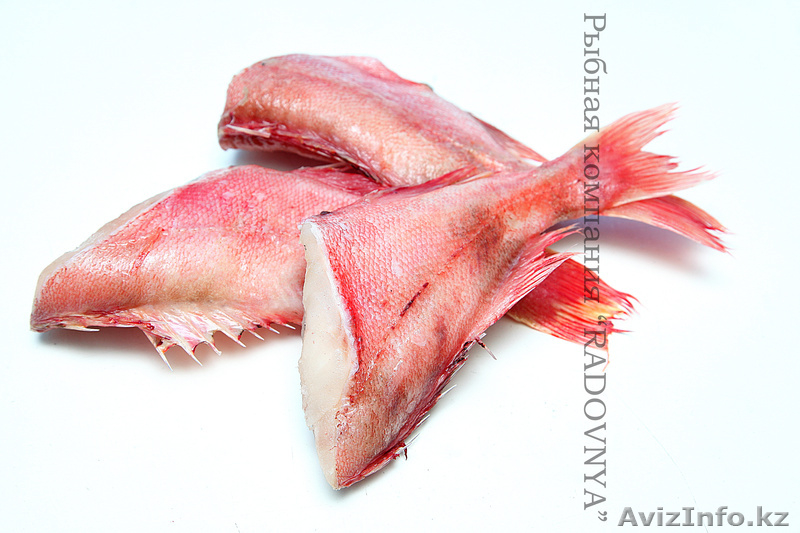 Проффесиональный фотограф Астана - Изображение #7, Объявление #578579