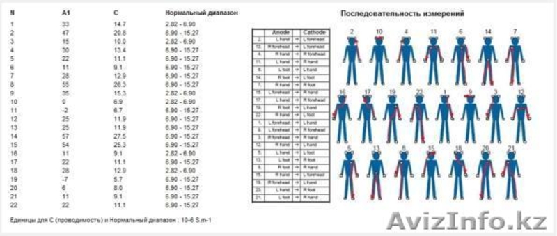 Аппарат функциональной диагностики ESTeck Complex - Изображение #2, Объявление #628641