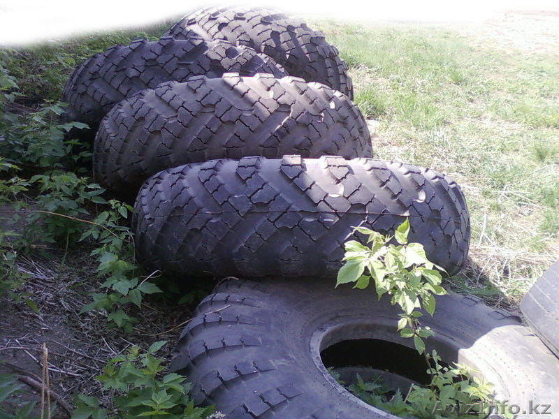 Продам спец шины ,18.00-24 - Изображение #7, Объявление #660714