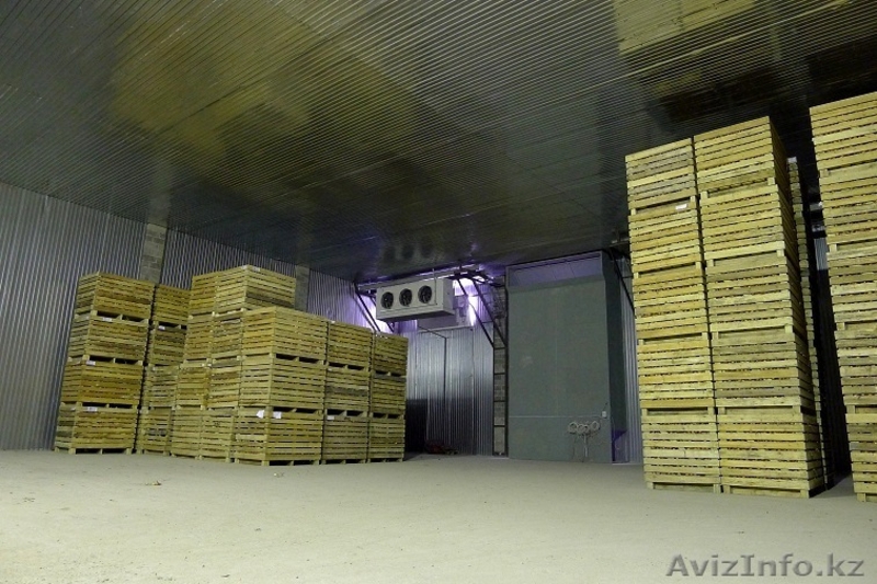 Оборудование для овощехранилищ.Монтаж,установка. - Изображение #9, Объявление #656033