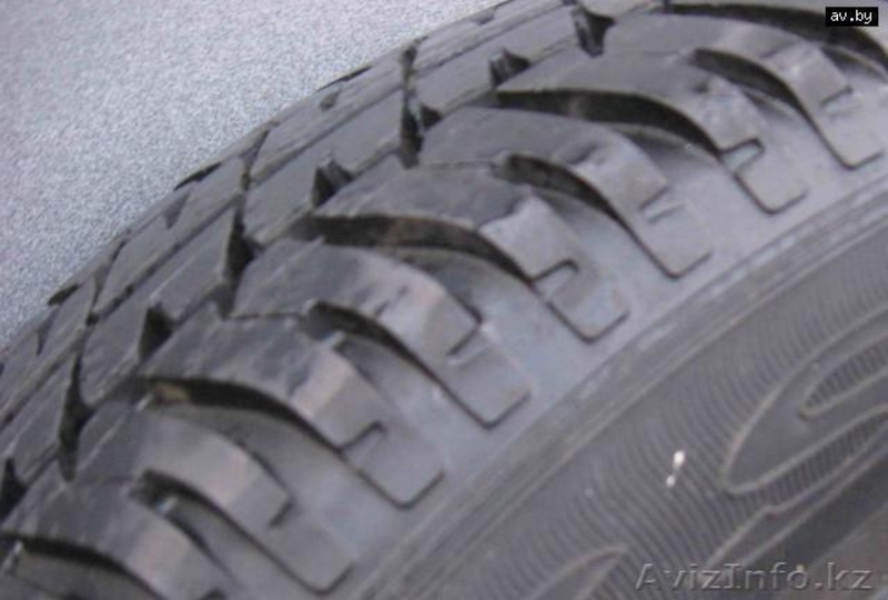 прицеп коневозка - Изображение #4, Объявление #659618