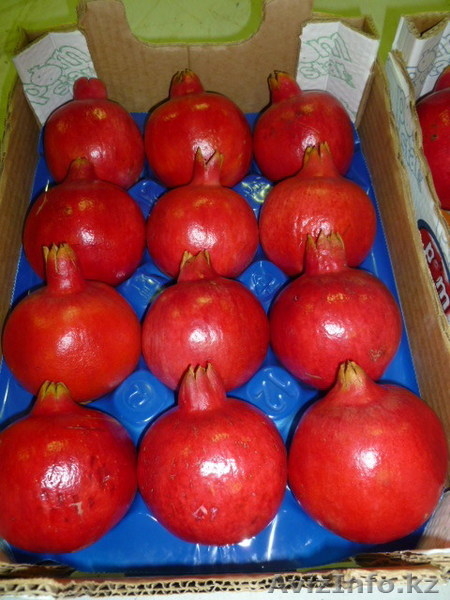 Fruit Life Company - Изображение #4, Объявление #688891