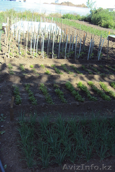 Продам 3х-комнатную квартиру.Жилой массив "Заречный" Левый берег. - Изображение #2, Объявление #682825