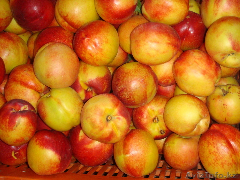 Fruit Life Company - Изображение #3, Объявление #688891