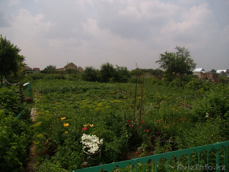 Продам дачу в зоне отдыха п.Коянды - Изображение #4, Объявление #703089