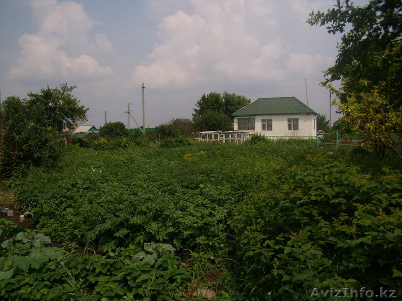 Продам дачу в зоне отдыха п.Коянды - Изображение #3, Объявление #703089