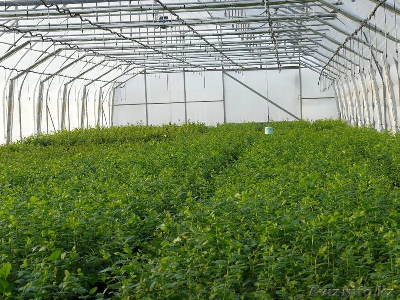 Строительство бассейнов,саун,моньаж оборудования,пусконаладка очистительной сист - Изображение #7, Объявление #707931