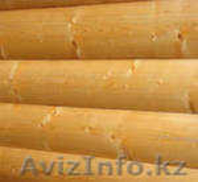 Пиломатериал (сосна) от производителя в г. Иркутск (Восточная Сибирь) - Изображение #2, Объявление #743132
