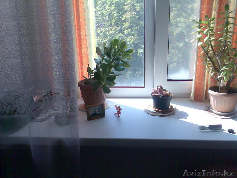 В центре правобережья уютная, теплая 3-х комнатная квартира  - Изображение #4, Объявление #748412