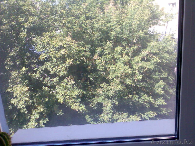 В центре правобережья уютная, теплая 3-х комнатная квартира  - Изображение #2, Объявление #748412