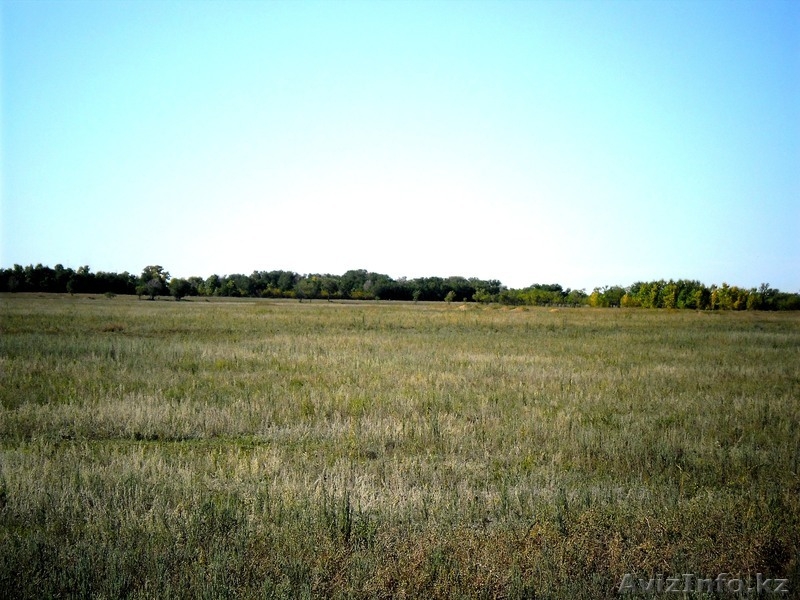 продам  землю 50 га. Гос Акт.Целевое назначение К/Х под сад, огород.  - Изображение #3, Объявление #739506